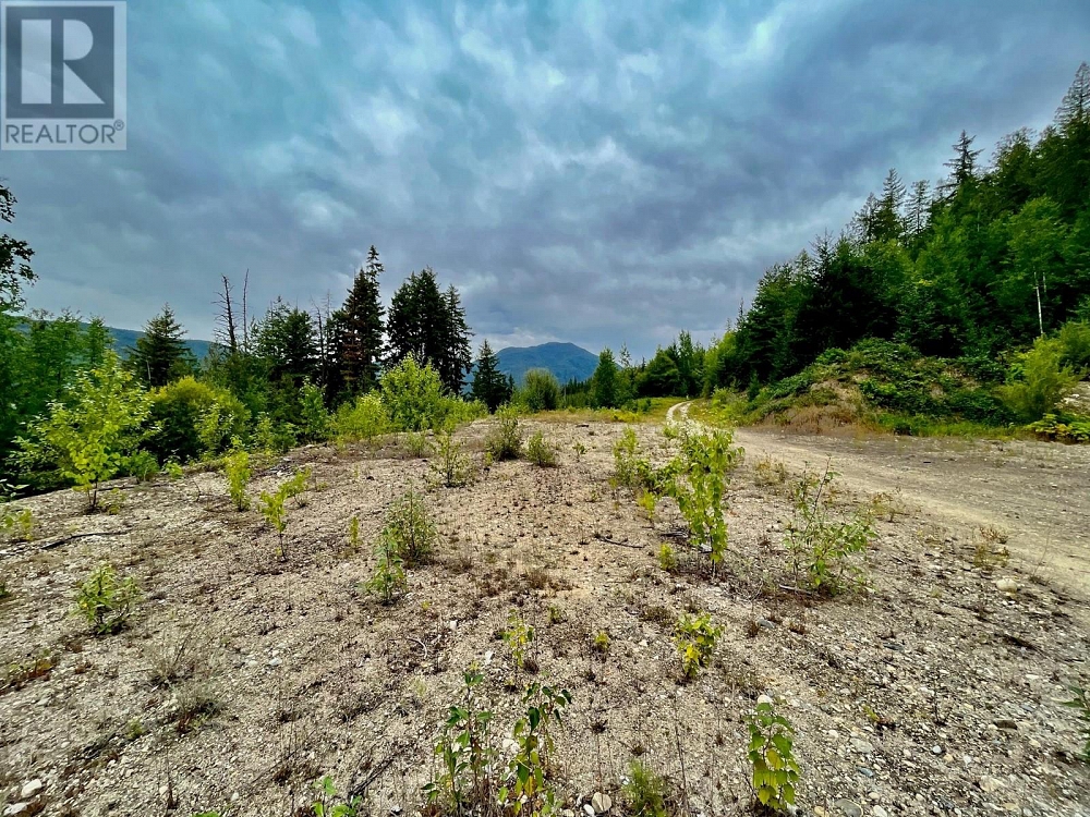 Lot 8 East Anstey Arm Bay Sicamous Photo 24